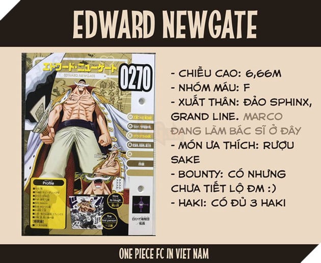 One Piece: Jinbe chính thức trở thành đồng đội của Luffy - Hé lộ thông tin thú vị về Ace và Râu Trắng - Ảnh 3. One Piece: Jinbe chính thức trở thành đồng đội của Luffy - Hé lộ thông tin thú vị về Ace và Râu Trắng - Ảnh 3.
