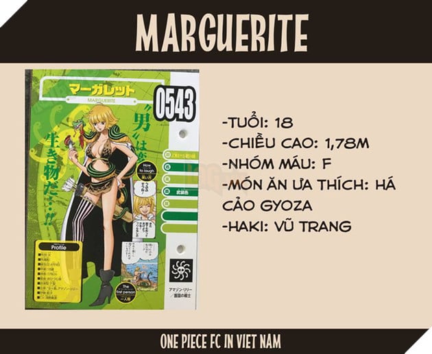 One Piece: Jinbe chính thức trở thành đồng đội của Luffy - Hé lộ thông tin thú vị về Ace và Râu Trắng - Ảnh 6. One Piece: Jinbe chính thức trở thành đồng đội của Luffy - Hé lộ thông tin thú vị về Ace và Râu Trắng - Ảnh 6.