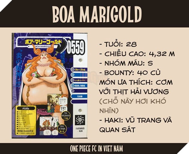 One Piece: Jinbe chính thức trở thành đồng đội của Luffy - Hé lộ thông tin thú vị về Ace và Râu Trắng - Ảnh 9. One Piece: Jinbe chính thức trở thành đồng đội của Luffy - Hé lộ thông tin thú vị về Ace và Râu Trắng - Ảnh 9.