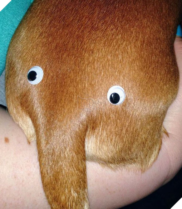 [Vui] Đây là lý người ta nói đàn ông chỉ là lũ trẻ con lớn xác - Ảnh 3.