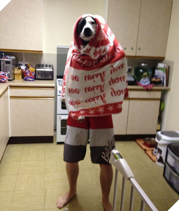 [Vui] Đây là lý người ta nói đàn ông chỉ là lũ trẻ con lớn xác - Ảnh 6.