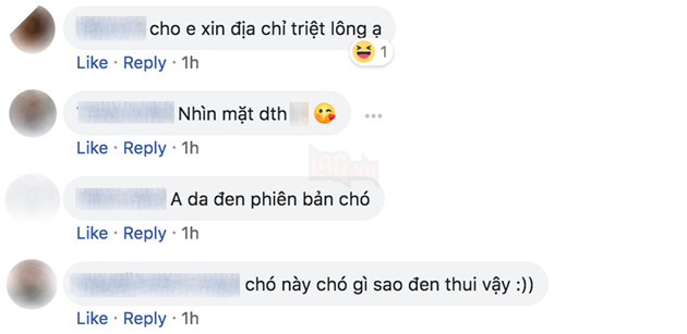 'Boss' bi 'sen' bat mac do ngu reu rao khap noi, cong dong mang thac mac: La cho hay heo? 11 1