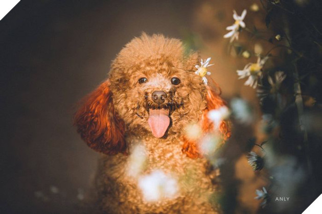 Gương mặt ăn ảnh, bắt nắng và thu hút mọi ánh nhìn.
Gương mặt ăn ảnh, bắt nắng và thu hút mọi ánh nhìn.