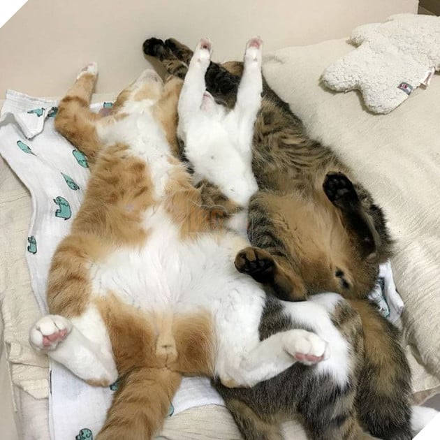 Dù sóng gió có đến đâu thì nhắc lại là vẫn phải "đúng thứ tự".
Dù sóng gió có đến đâu thì nhắc lại là vẫn phải "đúng thứ tự".
