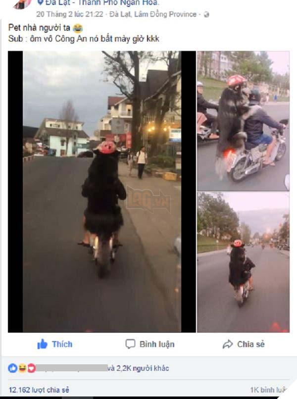 Nam thanh nien di cup sau deo “Dai tuong” truoc deo “Hoang Thuong” tai Da Lat gay nao loan goc duong pho Nam thanh niên đi cup sau đèo “Đại tướng” trước đèo “Hoàng Thượng” tại Đà Lạt gây náo loạn góc đường phố