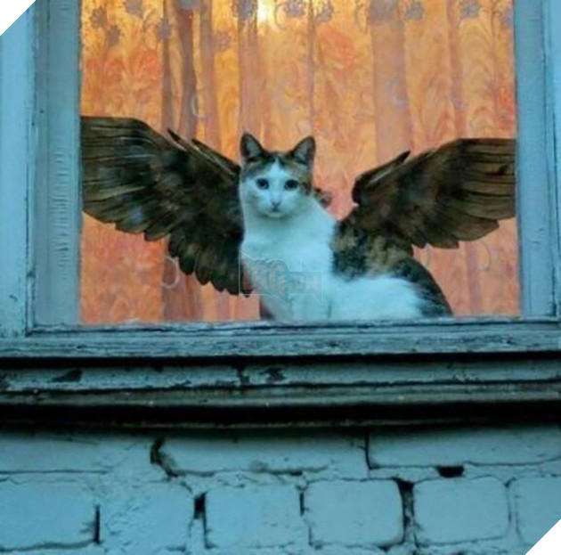 [Vui] Những hình ảnh khiến bạn cảm thấy lú lẫn chẳng biết đường nào mà lần - Ảnh 14.