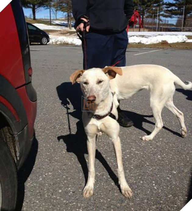 [Vui] Những hình ảnh khiến bạn cảm thấy lú lẫn chẳng biết đường nào mà lần - Ảnh 4.