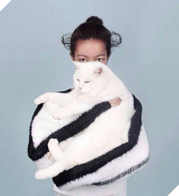 [Vui] Những hình ảnh khiến bạn cảm thấy lú lẫn chẳng biết đường nào mà lần - Ảnh 9.