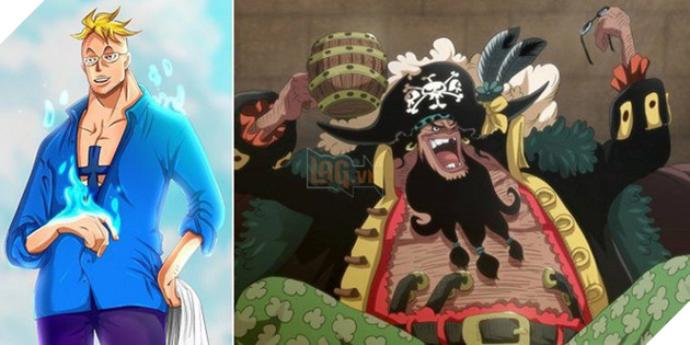 One Piece: Phượng Hoàng Marco có lẽ là người duy nhất biết về bí mật của Tứ Hoàng Blackbeard? - Ảnh 1. One Piece: Phượng Hoàng Marco có lẽ là người duy nhất biết về bí mật của Tứ Hoàng Blackbeard? - Ảnh 1.