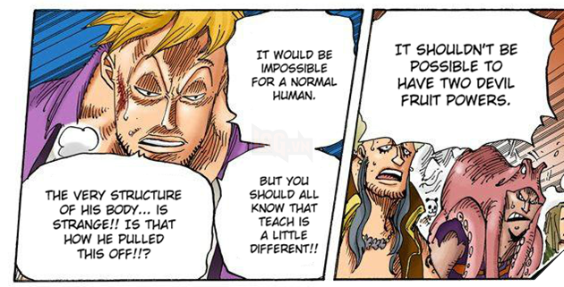 One Piece: Phượng Hoàng Marco có lẽ là người duy nhất biết về bí mật của Tứ Hoàng Blackbeard? - Ảnh 2. One Piece: Phượng Hoàng Marco có lẽ là người duy nhất biết về bí mật của Tứ Hoàng Blackbeard? - Ảnh 2.