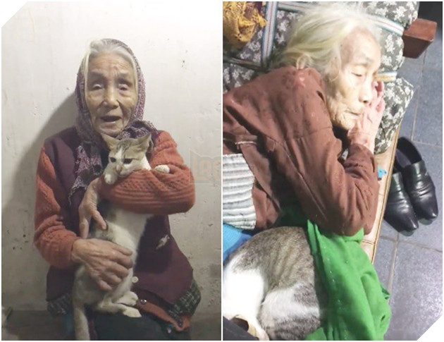 Ba thuong meo, du di ngu cung nhac chau khong duoc dong vao de “No” ngu ngon Bà thương mèo, dù đi ngủ cũng nhắc cháu không được động vào để “Nó” ngủ ngon