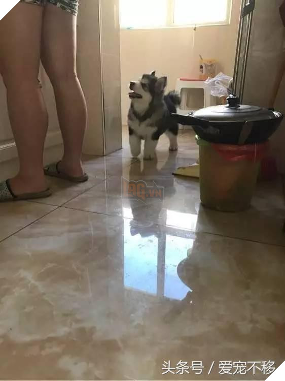 Cùng một tên hai số phận. 1 đứa ngoan bao nhiêu đứa kia thì…cười không nhặt nổi