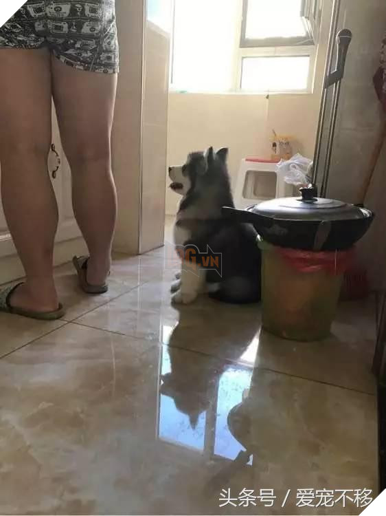 Cùng một tên hai số phận. 1 đứa ngoan bao nhiêu đứa kia thì…cười không nhặt nổi 2