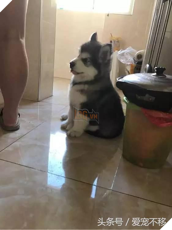 Cùng một tên hai số phận. 1 đứa ngoan bao nhiêu đứa kia thì…cười không nhặt nổi 3