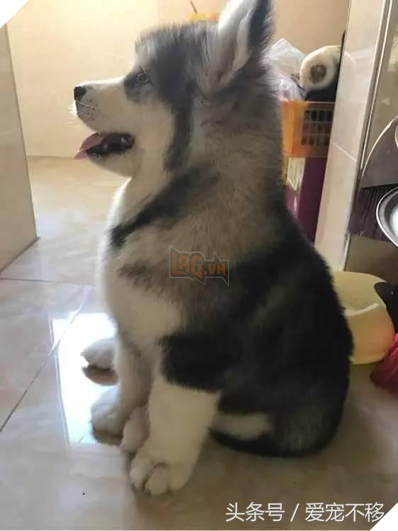 Cùng một tên hai số phận. 1 đứa ngoan bao nhiêu đứa kia thì…cười không nhặt nổi 4