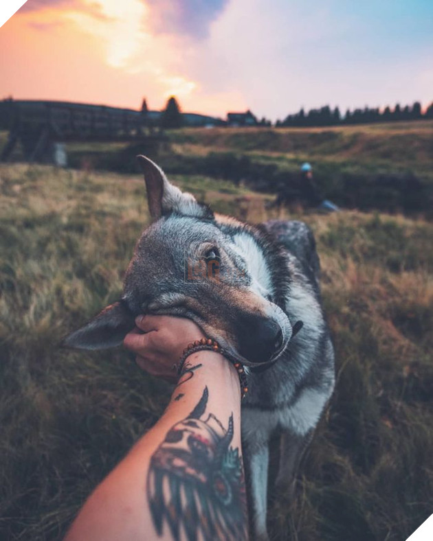 Bộ ảnh: Có Đại Boss theo mọi bước chân thế này, du lịch 1 mình còn gì đáng sợ nữa đâu!