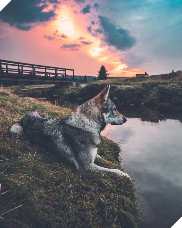 Bộ ảnh: Có Đại Boss theo mọi bước chân thế này, du lịch 1 mình còn gì đáng sợ nữa đâu!