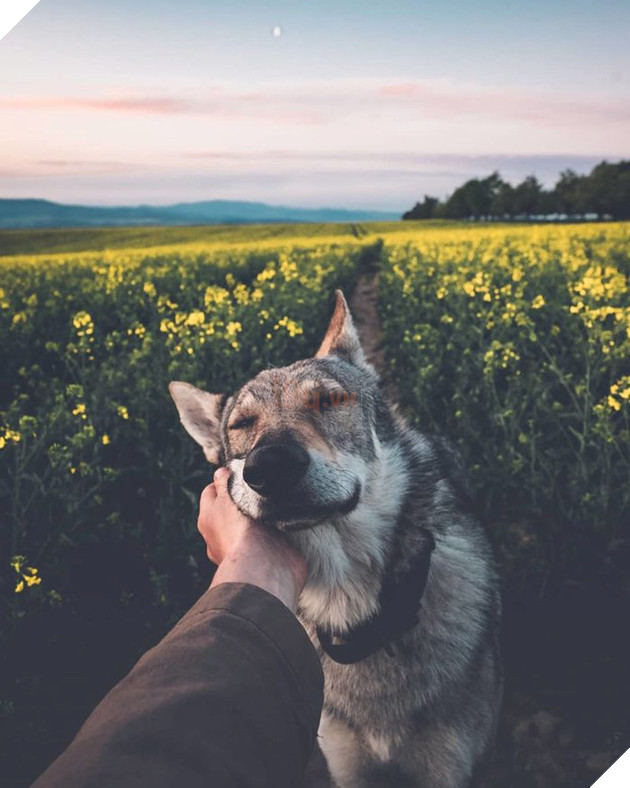 Bộ ảnh: Có Đại Boss theo mọi bước chân thế này, du lịch 1 mình còn gì đáng sợ nữa đâu!