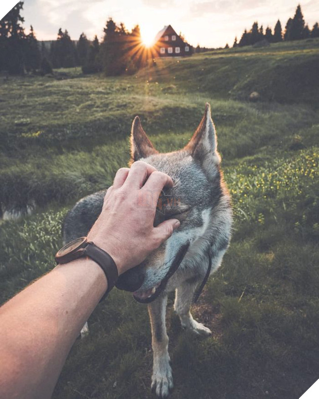 Bộ ảnh: Có Đại Boss theo mọi bước chân thế này, du lịch 1 mình còn gì đáng sợ nữa đâu!