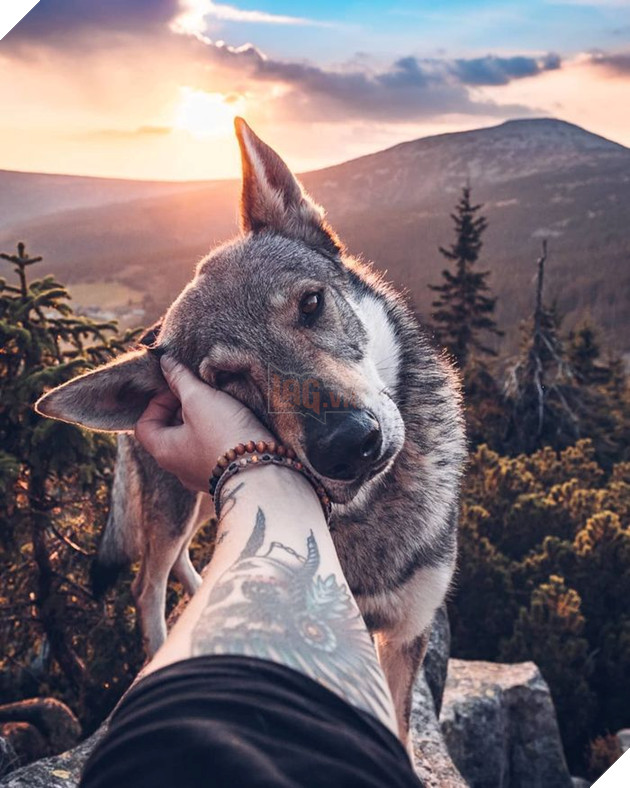 Bộ ảnh: Có Đại Boss theo mọi bước chân thế này, du lịch 1 mình còn gì đáng sợ nữa đâu!