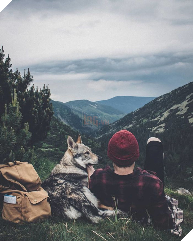 Bộ ảnh: Có Đại Boss theo mọi bước chân thế này, du lịch 1 mình còn gì đáng sợ nữa đâu!