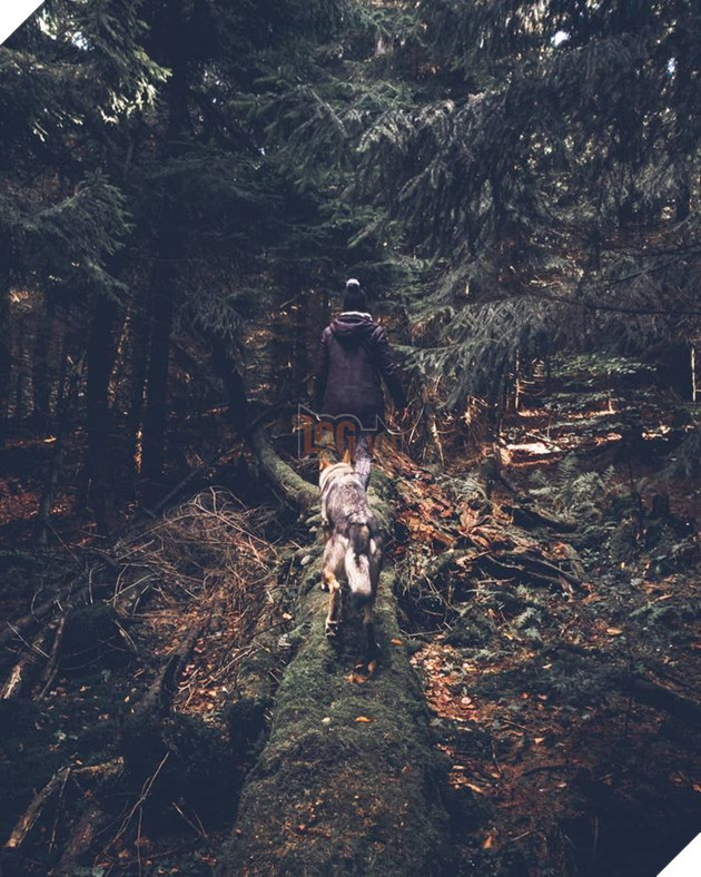 Bộ ảnh: Có Đại Boss theo mọi bước chân thế này, du lịch 1 mình còn gì đáng sợ nữa đâu!