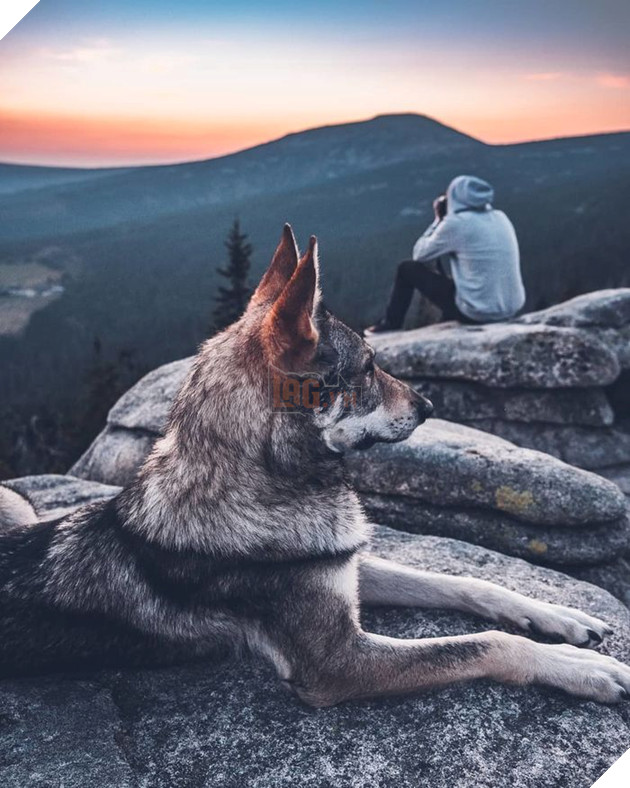 Bộ ảnh: Có Đại Boss theo mọi bước chân thế này, du lịch 1 mình còn gì đáng sợ nữa đâu!