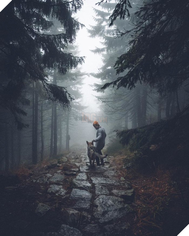 Bộ ảnh: Có Đại Boss theo mọi bước chân thế này, du lịch 1 mình còn gì đáng sợ nữa đâu!