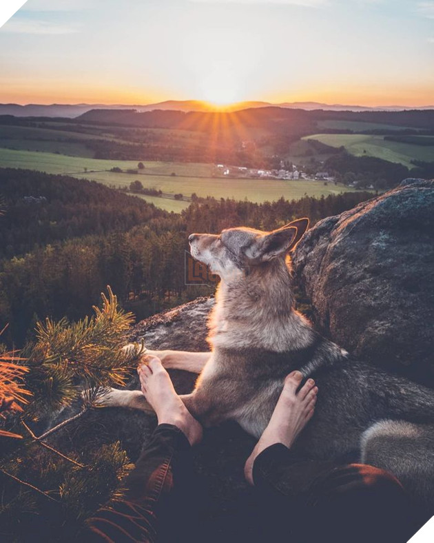 Bộ ảnh: Có Đại Boss theo mọi bước chân thế này, du lịch 1 mình còn gì đáng sợ nữa đâu!