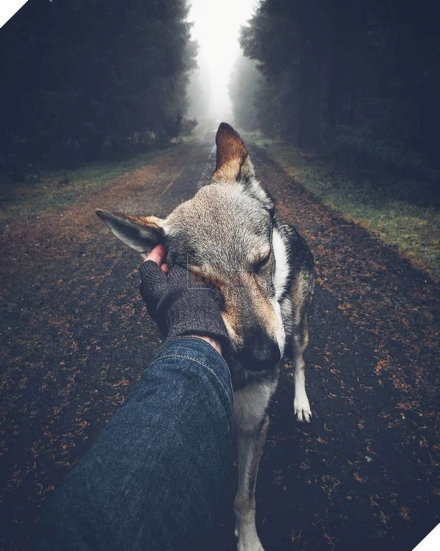 Bộ ảnh: Có Đại Boss theo mọi bước chân thế này, du lịch 1 mình còn gì đáng sợ nữa đâu!