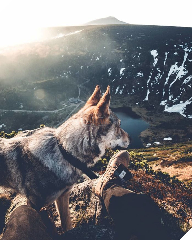 Bộ ảnh: Có Đại Boss theo mọi bước chân thế này, du lịch 1 mình còn gì đáng sợ nữa đâu!