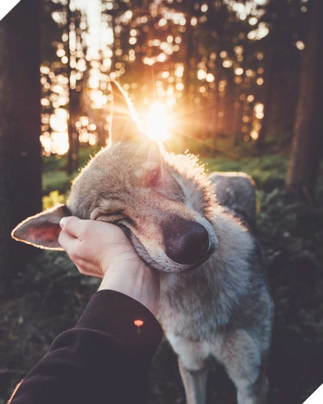 
Âu yếm em trên mọi dặm đường