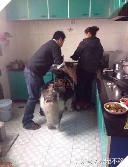 Cùng một tên hai số phận. 1 đứa ngoan bao nhiêu đứa kia thì…cười không nhặt nổi 5