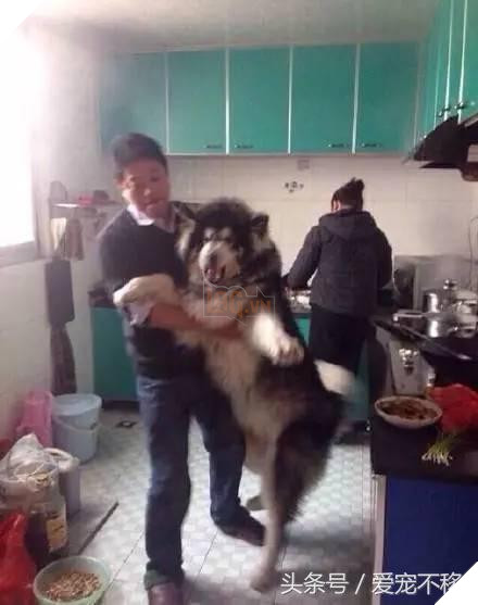 Cùng một tên hai số phận. 1 đứa ngoan bao nhiêu đứa kia thì…cười không nhặt nổi 6