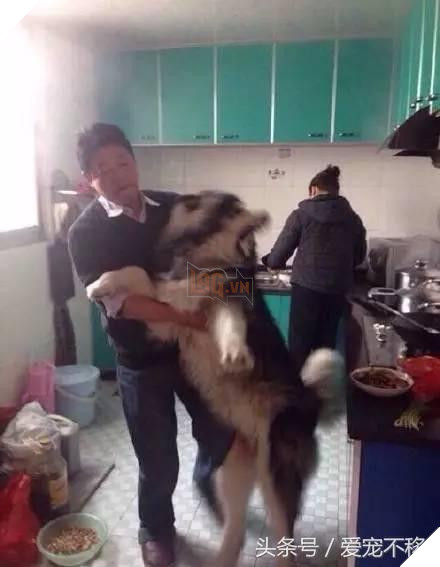 Cùng một tên hai số phận. 1 đứa ngoan bao nhiêu đứa kia thì…cười không nhặt nổi 7