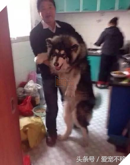 Cùng một tên hai số phận. 1 đứa ngoan bao nhiêu đứa kia thì…cười không nhặt nổi 9