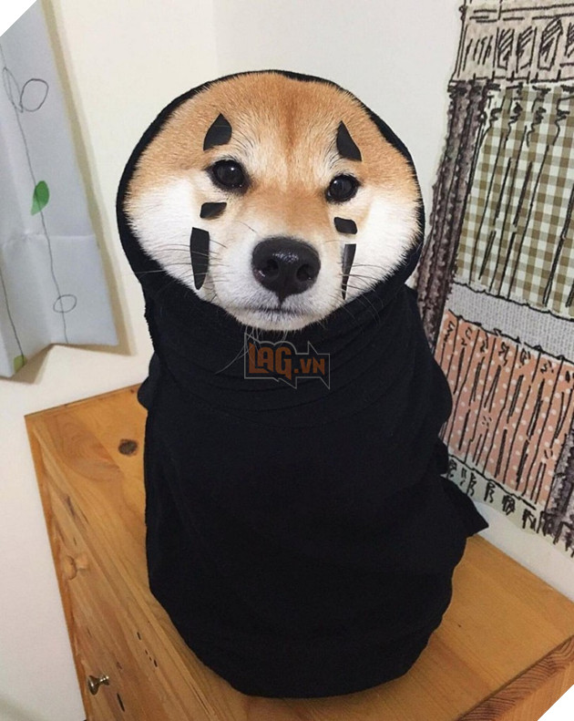 Những hình ảnh siêu yêu của chú chó Shiba tinh nghịch khi cosplay 2