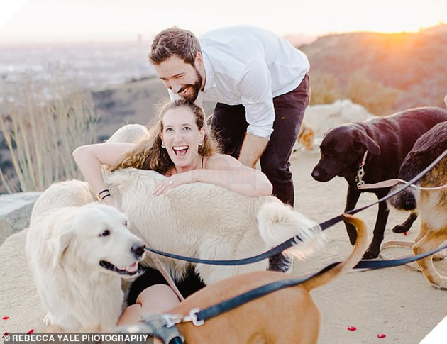 Thanh niên huy động 16 chú chó cầu hôn bạn gái cho lãng mạn nhưng biểu cảm của lũ boss mới là điều đáng chú ý - Ảnh 5.