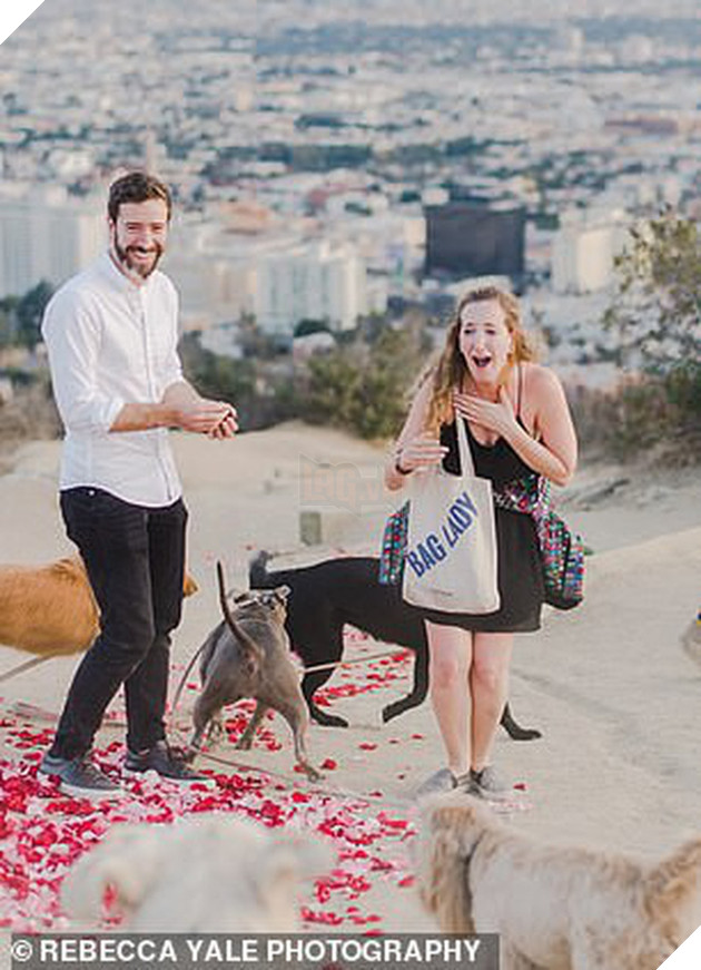 Thanh ni&#234;n huy động 16 ch&#250; ch&#243; cầu h&#244;n bạn g&#225;i cho l&#227;ng mạn nhưng biểu cảm của lũ boss mới l&#224; điều đ&#225;ng ch&#250; &#253; - Ảnh 1.