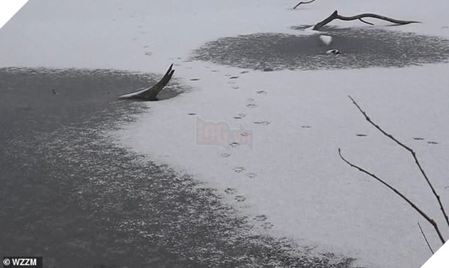 Bà mẹ 3 con chết đuối dưới hồ băng khi cố giải cứu chú chó cưng, cư dân mạng hỏi Có đáng không? - Ảnh 3.