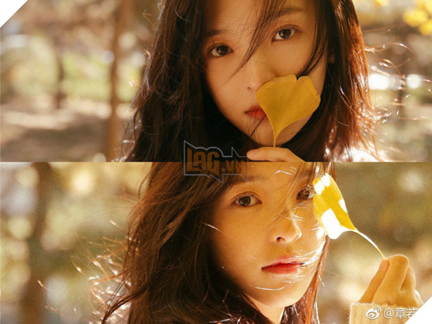 Chỉ một cú bấm follow, đại gia Vương Tư Thông biến hot girl Trung Quốc thành hiện tượng mạng xã hội - Ảnh 10.