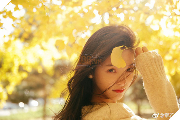 Chỉ một cú bấm follow, đại gia Vương Tư Thông biến hot girl Trung Quốc thành hiện tượng mạng xã hội - Ảnh 12.