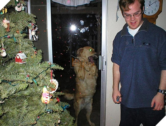 Khi “sen” nổi dậy thì Các “boss” cưng bị đuổi ra ngoài đường 15