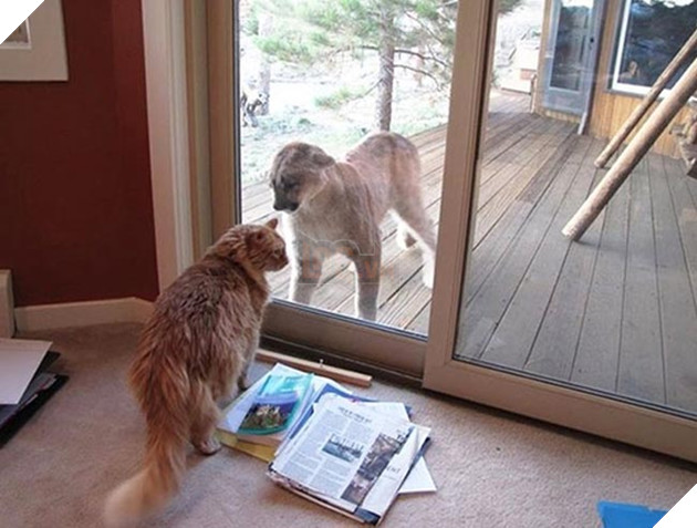 Khi “sen” nổi dậy thì Các “boss” cưng bị đuổi ra ngoài đường 10