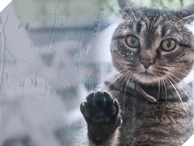 Khi “sen” nổi dậy thì Các “boss” cưng bị đuổi ra ngoài đường 9