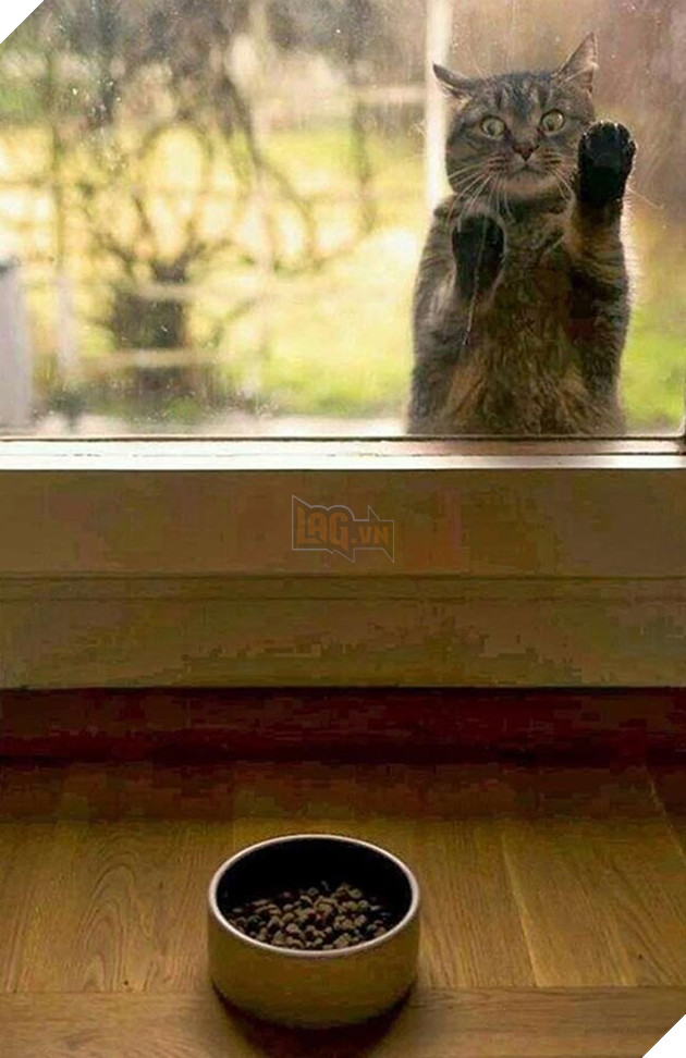 Khi “sen” nổi dậy thì Các “boss” cưng bị đuổi ra ngoài đường 8