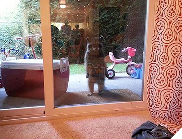 Khi “sen” nổi dậy thì Các “boss” cưng bị đuổi ra ngoài đường 2