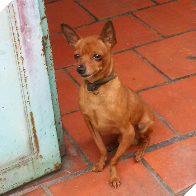 Khi chân vòng kiềng lên ngôi phá đảo thế giới ảo…nhầm thế giới chân thẳng chứ nhỉ 2