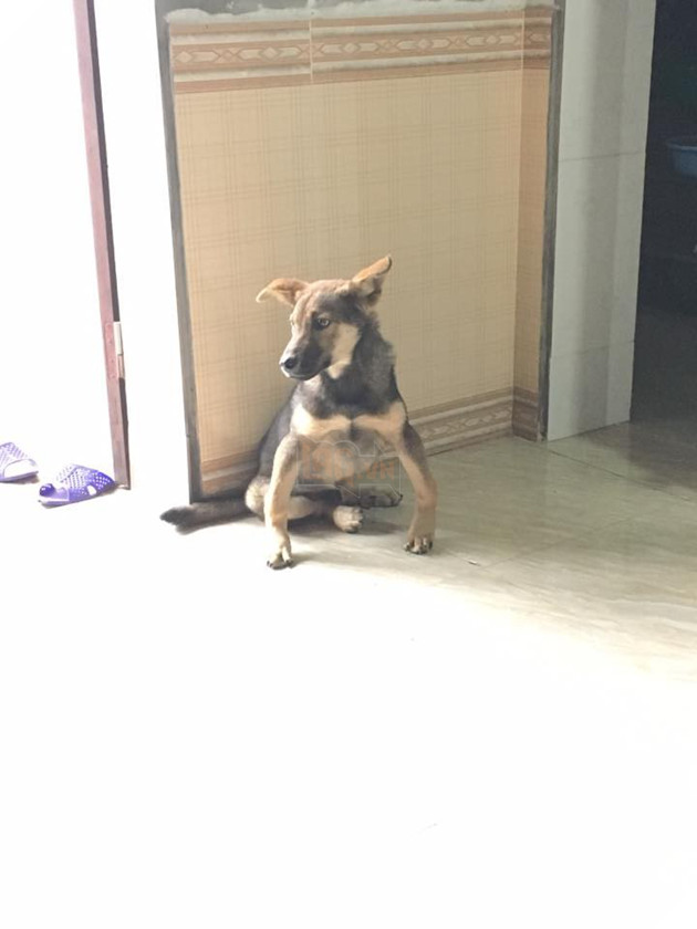 Khi chân vòng kiềng lên ngôi phá đảo thế giới ảo…nhầm thế giới chân thẳng chứ nhỉ 3