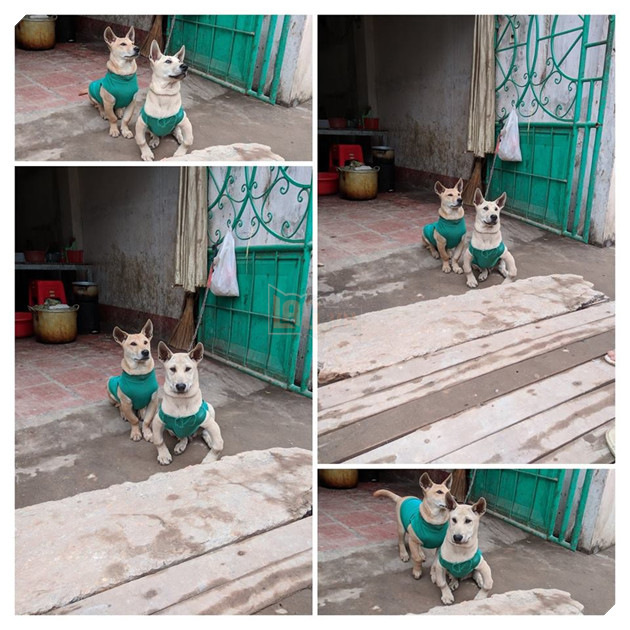 Khi chân vòng kiềng lên ngôi phá đảo thế giới ảo…nhầm thế giới chân thẳng chứ nhỉ 7